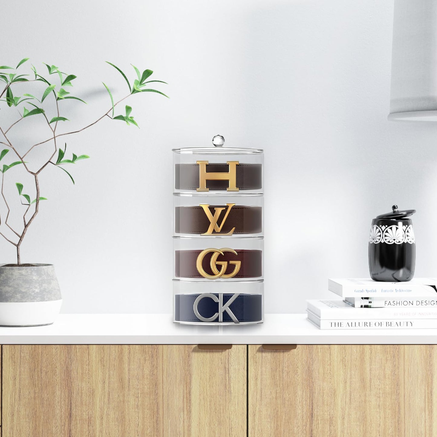 Premium Belt Display Organizer | 5 Compartments