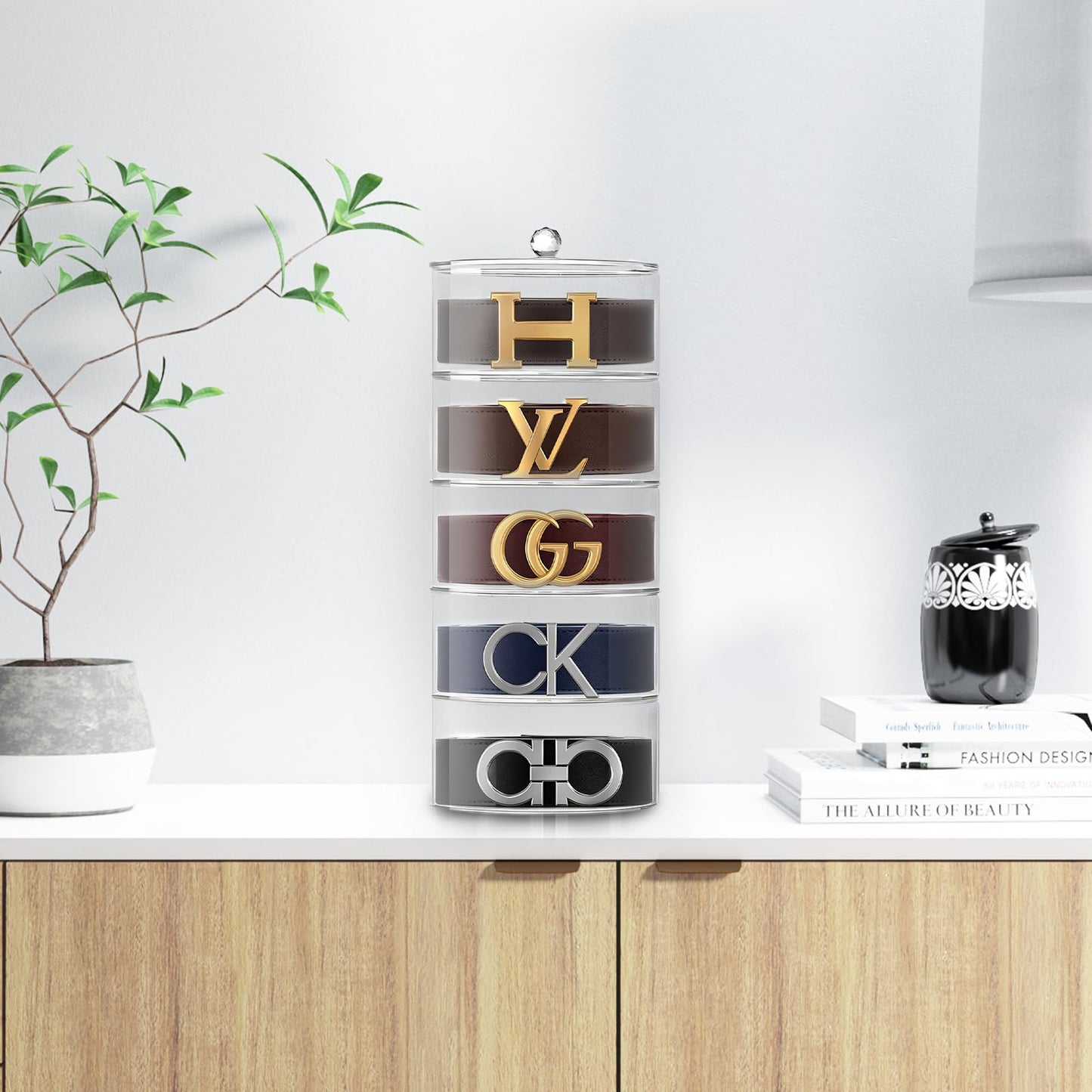 Premium Belt Display Organizer | 5 Compartments