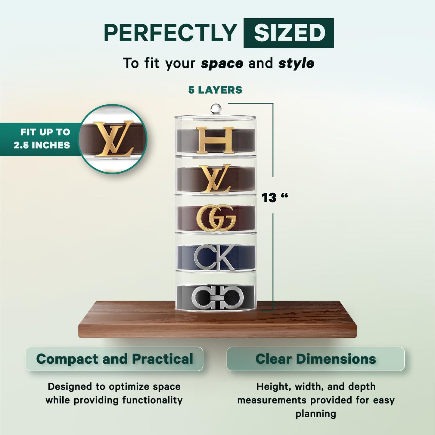 Premium Belt Display Organizer | 5 Compartments