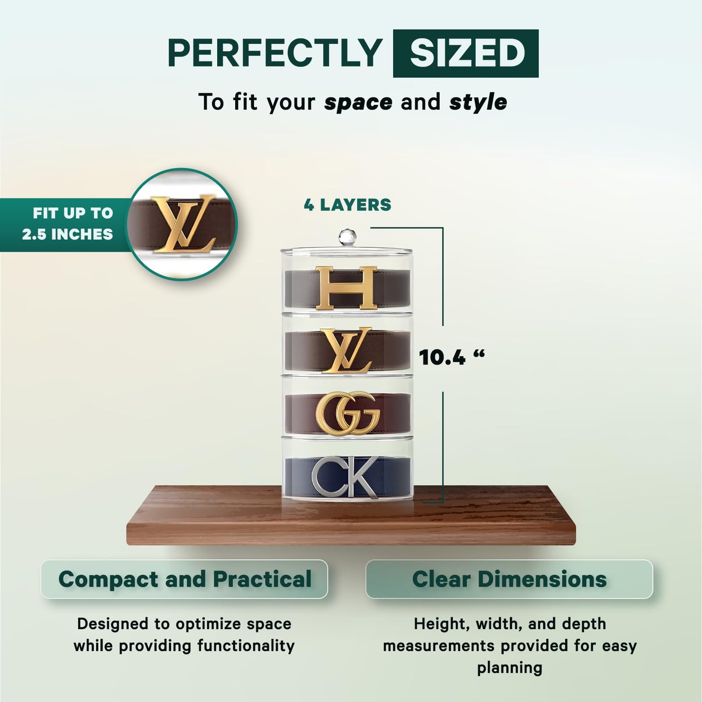 Premium Belt Display Organizer | 5 Compartments